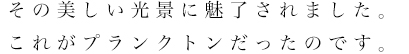 その美しい光景に魅了されました。これがプランクトンだったのです。