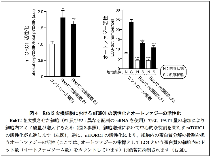 http://www.sci.tohoku.ac.jp/news/20130314105419.jpg