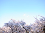 定年退職教員　最終講義のお知らせ