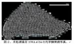 【研究成果】月起源隕石からシリカの超高圧相発見～27億年前に起きた月への小天体衝突の記録～