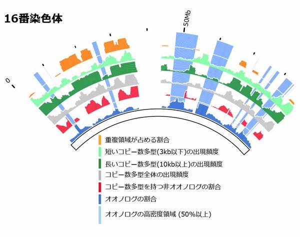 tohokuuniv-press_20130805_01-3_pict4.jpg