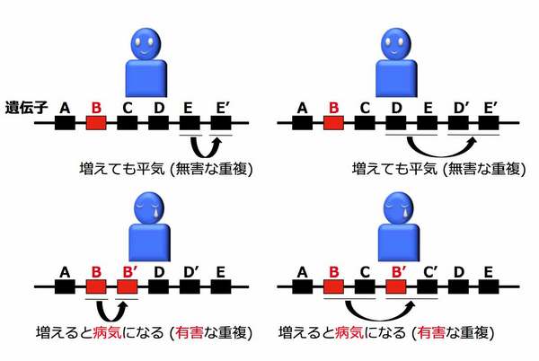 tohokuuniv-press_20130805_01_pict1.jpg