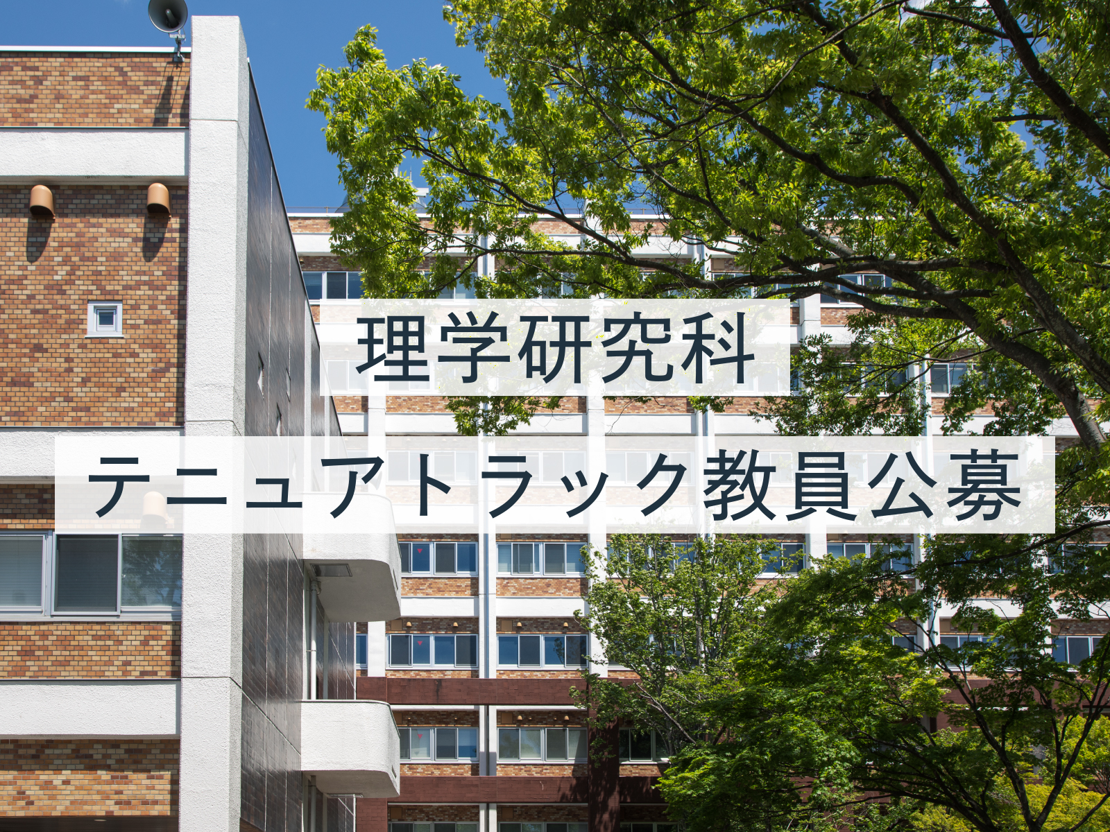 テニュアトラック教員公募