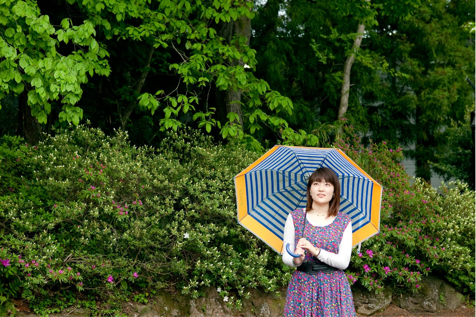 松田 さゆり