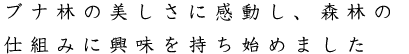 ブナ林の美しさに感動し、森林の仕組みに興味を持ち始めました。