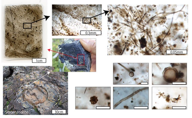 148_PR_20220905_discovery_new_microfossils_answers_age_old_question_fig1.jpg