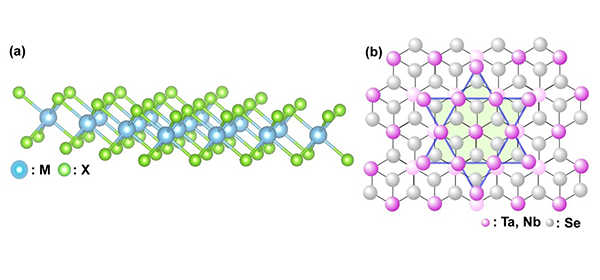 20211021_monolayer_f1.png