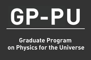 GP-PU Graduate Program on Physics for the Universe