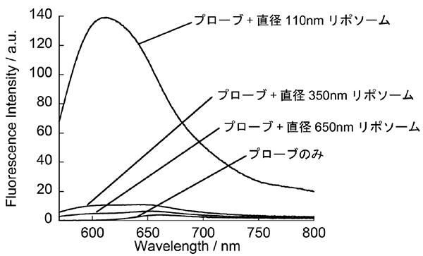 20210125_4.jpg