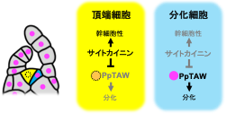20240904_60.png