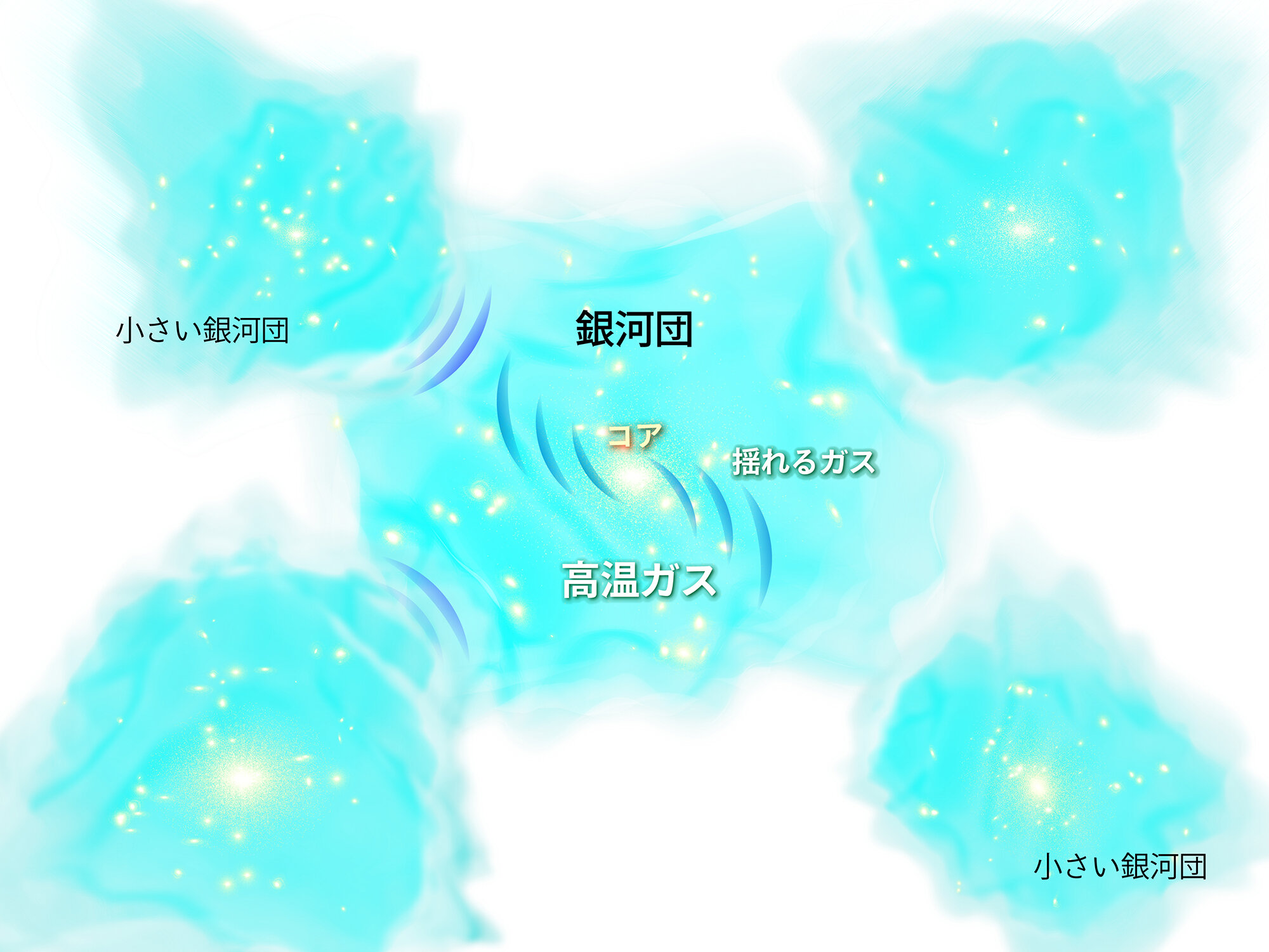 20250213_400.jpg