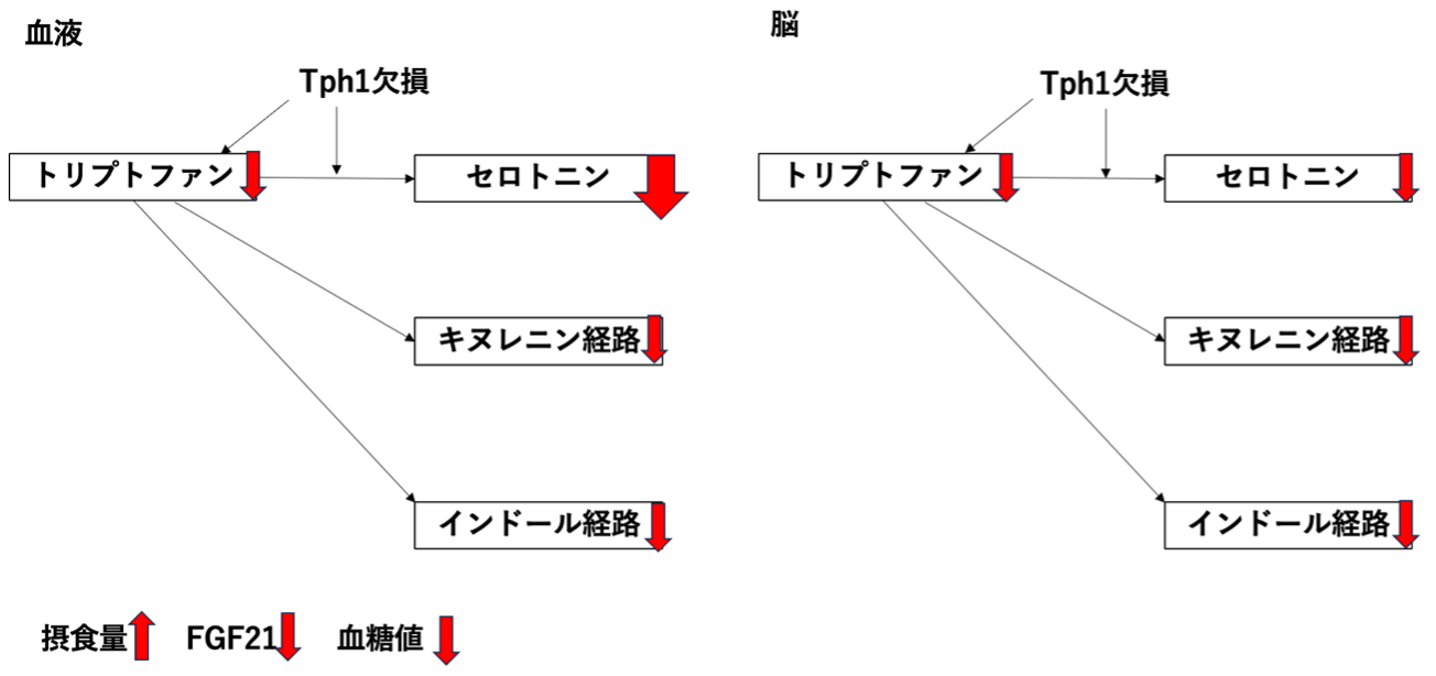 20250509_10.png
