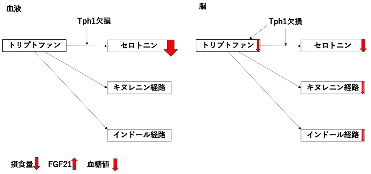 20250509_20.png