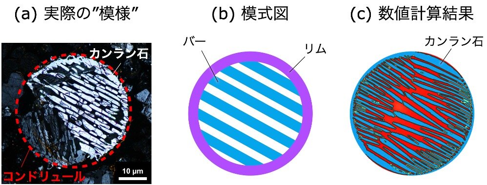 20250526_10.jpg