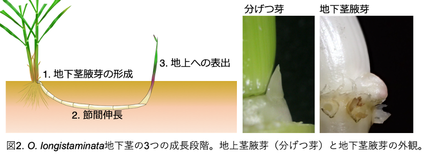 20250606_20.png