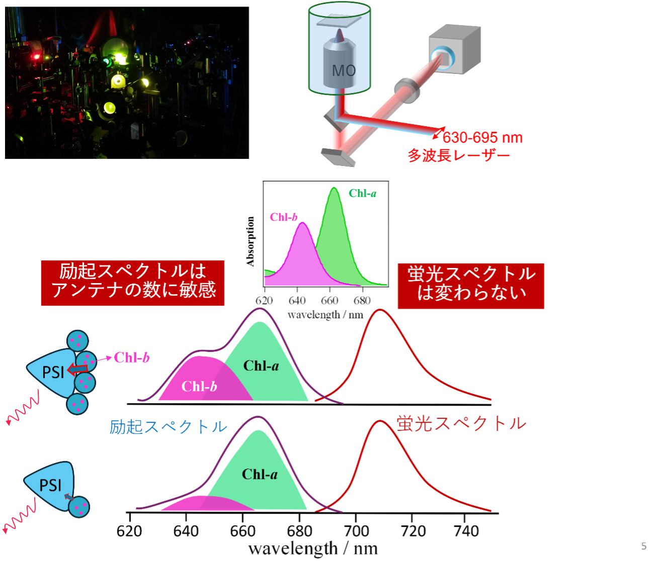20250702_40.png