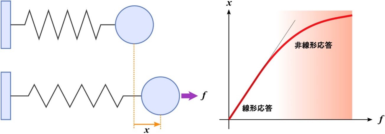20250710_10.jpg