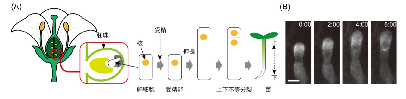 20250730_10.png