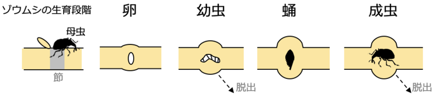 20250821_10.png