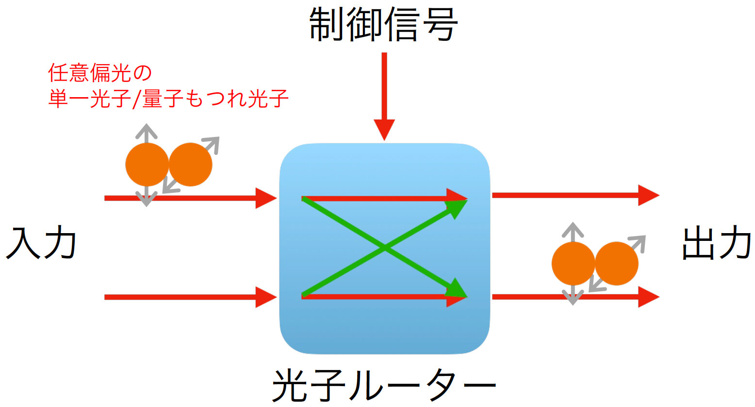 20250924_10.jpg