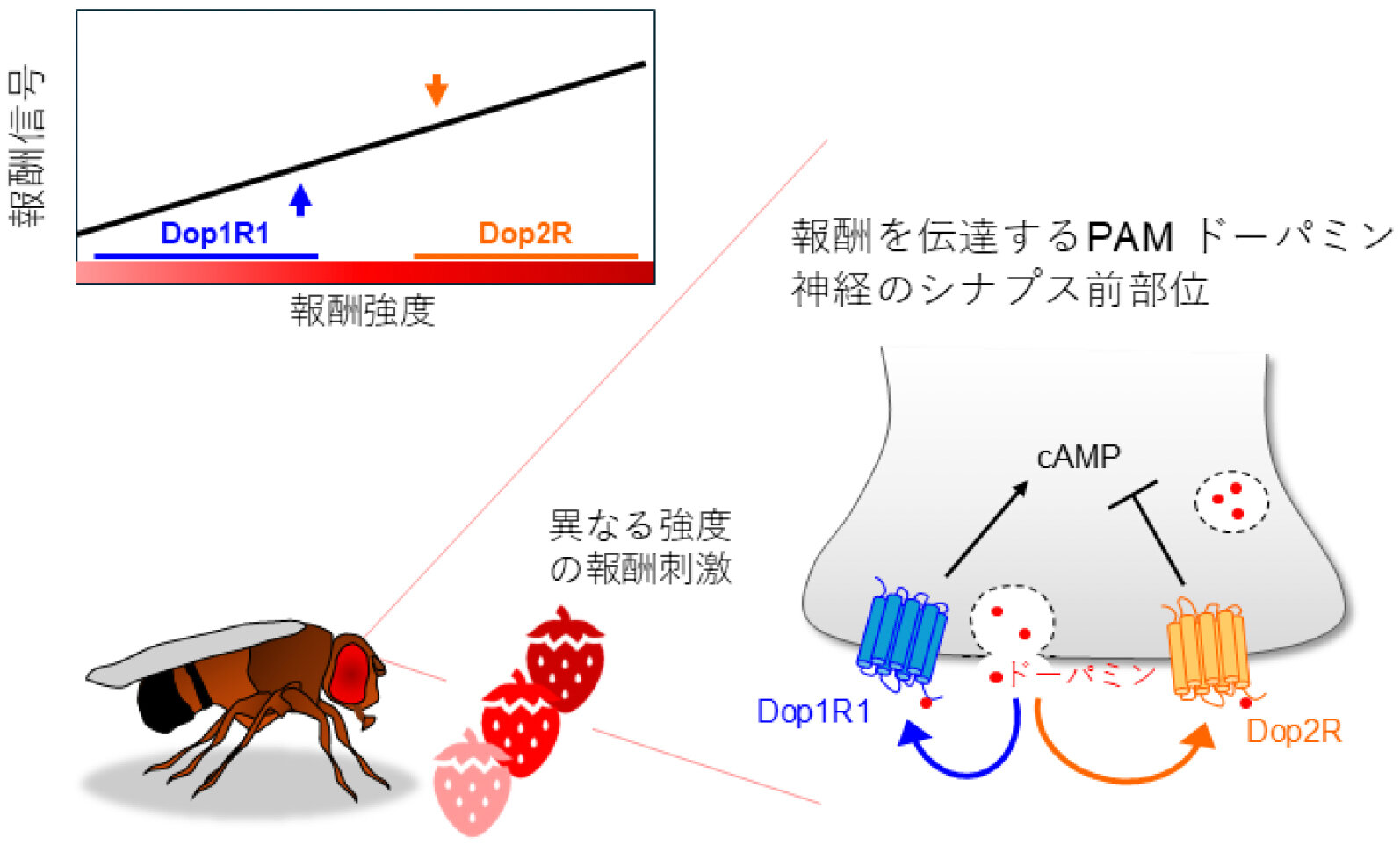 20260514_tani1.jpg