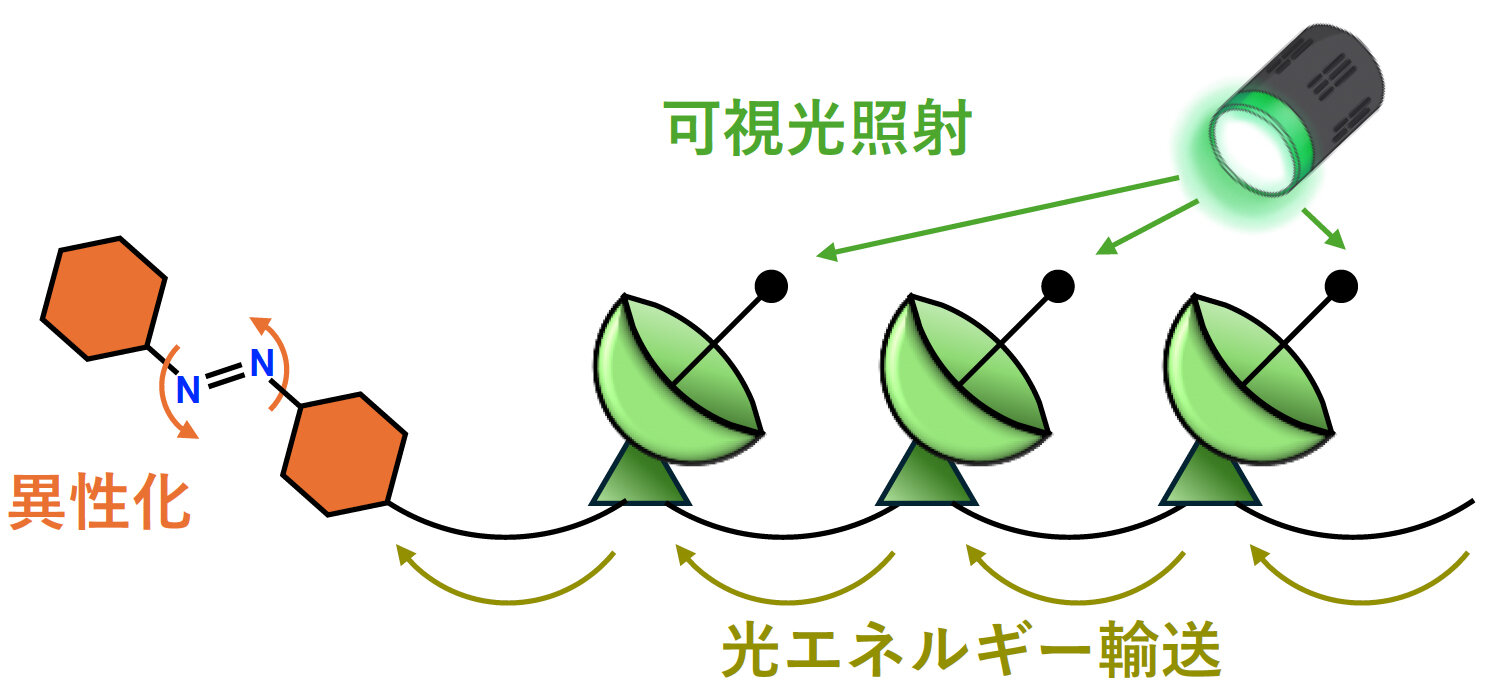 20260820_2.jpg