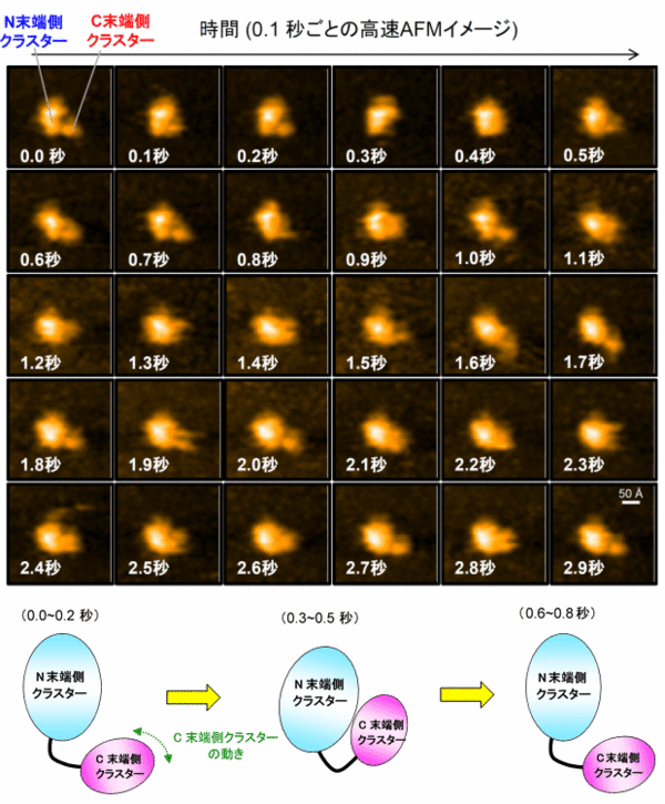 zu2.gif