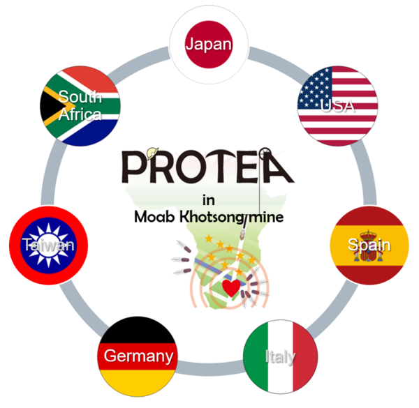 PROTEA.png