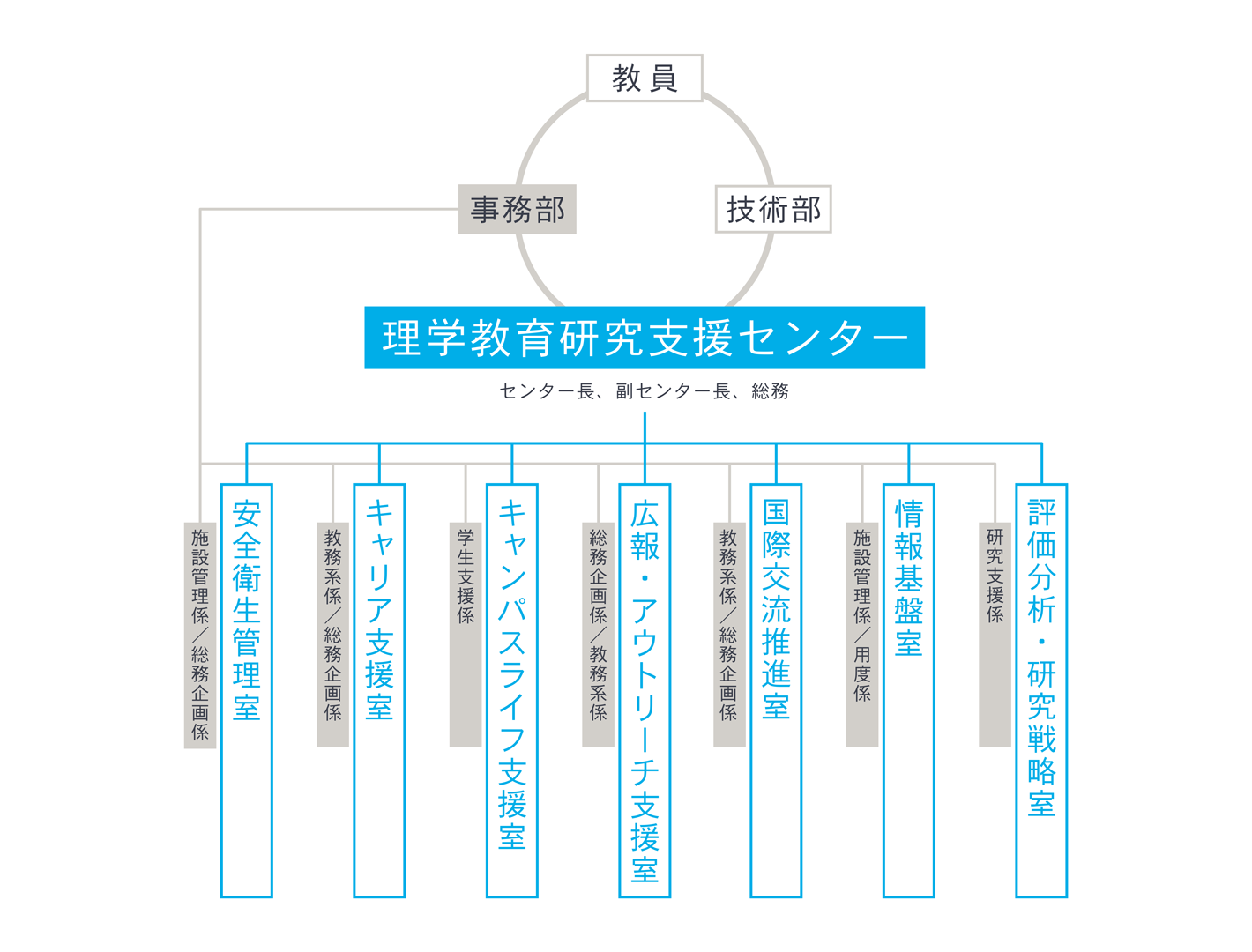 理学教育研究支援センター組織図